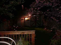 Backyard at Night 4.jpg (32382 bytes)