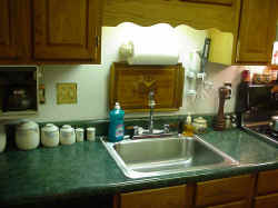 Kitchen Sink.jpg (195765 bytes)