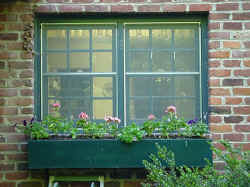 Window Box 3.jpg (51597 bytes)