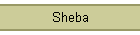 Sheba