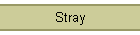 Stray