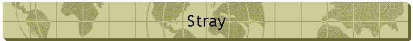 Stray